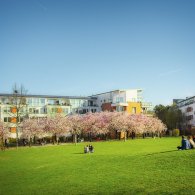 20190322-Kaarst-IMG_3359 20190322-Kaarst-IMG_3359