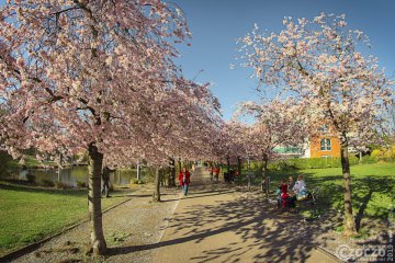 20190322-Kaarst-IMG_3405