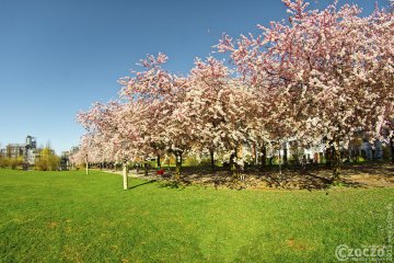 20190322-Kaarst-IMG_3415