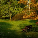 20220423-9A1A6378-Bearbeitet-ON1-Alleine