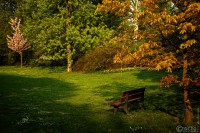 20220423-9A1A6378-Bearbeitet-ON1-Alleine