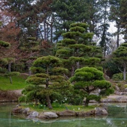 20250326-9A1A2993-Japanische-Garten-Duesseldorf