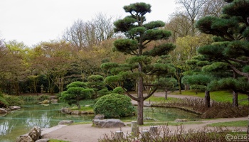 20250326-9A1A2998-Japanische-Garten-Duesseldorf