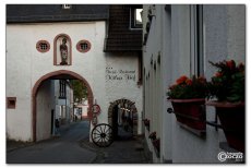 img_1361