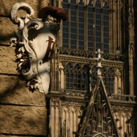 img_4621.jpg img_4621.jpg