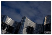 img_9233