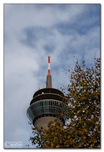 img_9237
