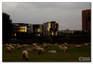 img_9350