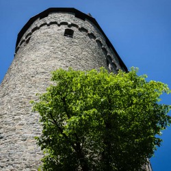 20170525-_MG_3616-Altena