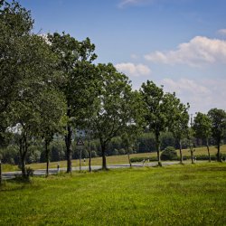 20190624-Siegerland-9A1A0014