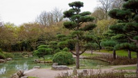 20250326-9A1A2998-Japanische-Garten-Duesseldorf