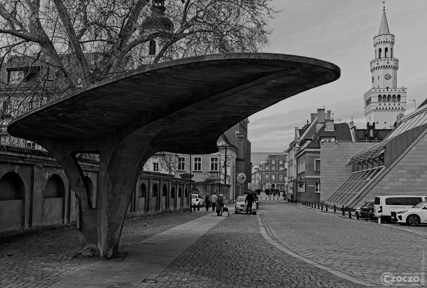 2026-04-13-9A1A7256-Hohestein