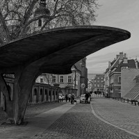 2026-04-13-9A1A7256-Hohestein