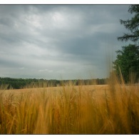20140709-2 20140709-2