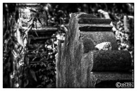 20140711-4