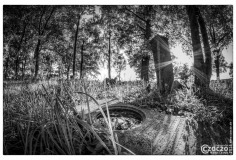 20140711-8