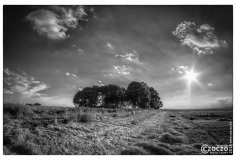 20140711-9
