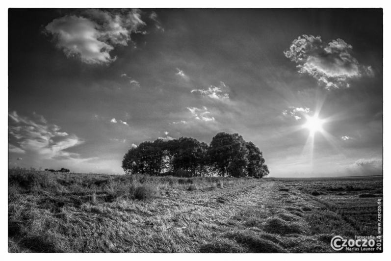 20140711-9