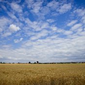 20190708-Landschaft-9A1A0911 20190708-Landschaft-9A1A0911