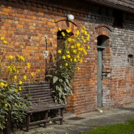 20190926-Zachciolek-9A1A2639