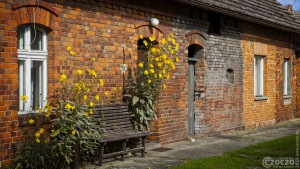 20190926-Zachciolek-9A1A2639