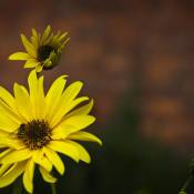 20190926-Zachciolek-9A1A2642 20190926-Zachciolek-9A1A2642