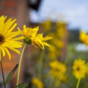 20190926-Zachciolek-9A1A2645 20190926-Zachciolek-9A1A2645