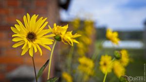 20190926-Zachciolek-9A1A2645