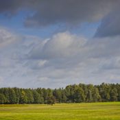 20190926-Zachciolek-9A1A2647 20190926-Zachciolek-9A1A2647