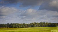 20190926-Zachciolek-9A1A2647