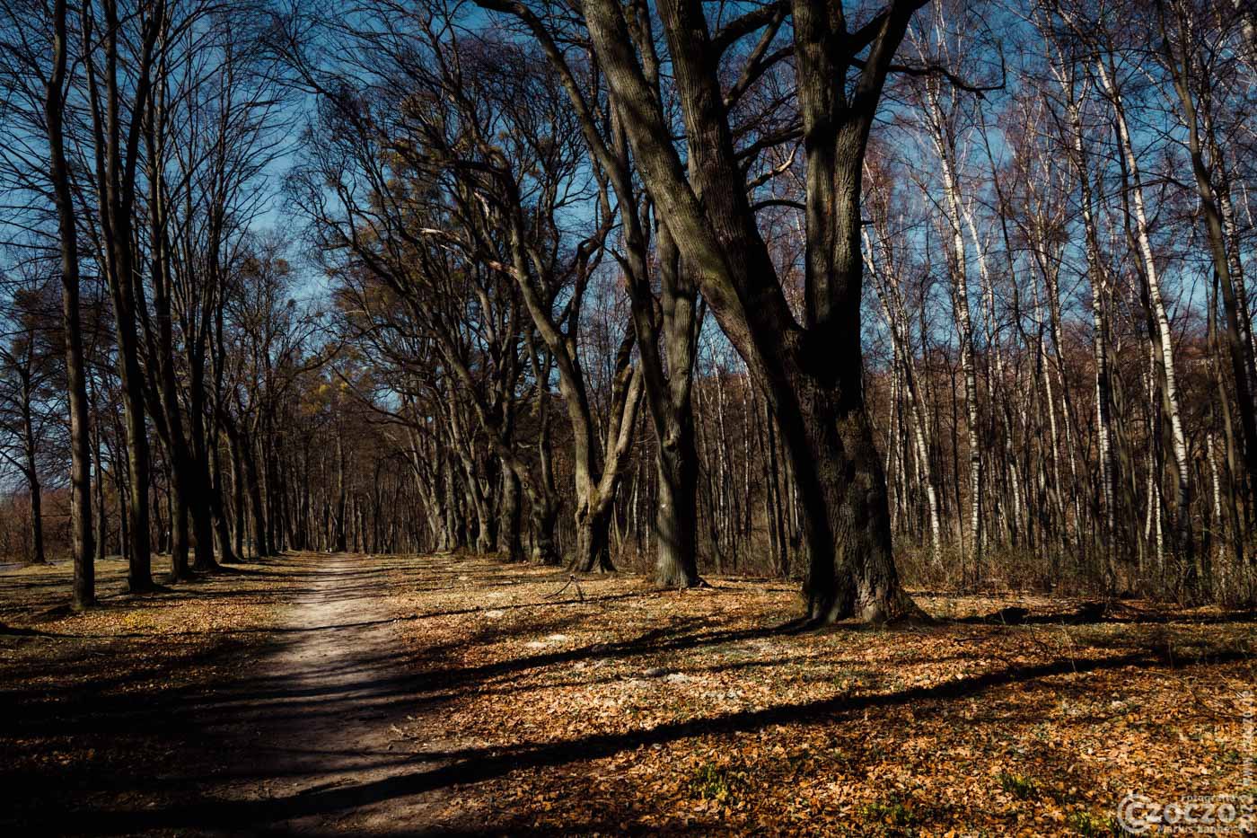 20220328-9A1A5883-Bearbeitet-LR-Annaberger-Kalvarien-Pfad