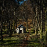 20220328-9A1A5889-LR-Annaberger-Kalvarien-Pfad