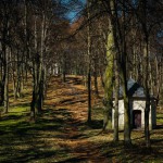 20220328-9A1A5890-LR-Annaberger-Kalvarien-Pfad