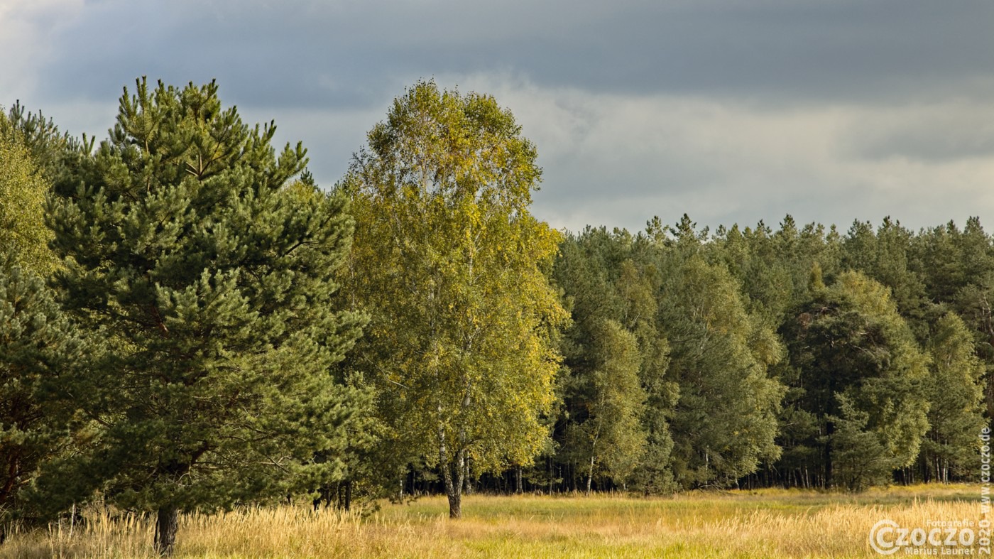 Der-Natur-Donnerstag-2-2020