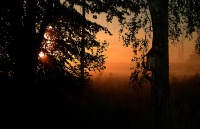 debiniec-im-nebel-heil-maria.jpg