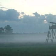 debiniec-im-nebel-hohsitz.jpg