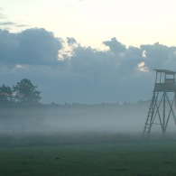 debiniec-im-nebel-hohsitz.jpg debiniec-im-nebel-hohsitz.jpg