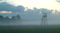 debiniec-im-nebel-hohsitz.jpg