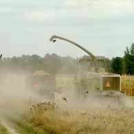 ernte-2003.jpg ernte-2003.jpg