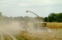 ernte-2003.jpg
