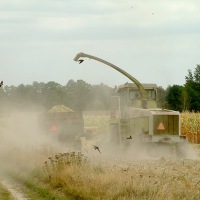 ernte-2003.jpg