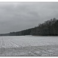 feld.jpg feld.jpg