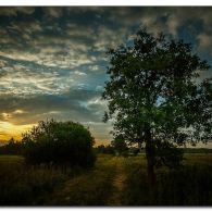 guten-morgen guten-morgen