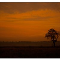 img_3593-sonnenaufgang