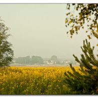 img_3776-debiniec img_3776-debiniec