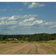 img_4535 img_4535