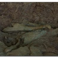 img_4810_0 img_4810_0