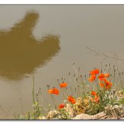 img_5737