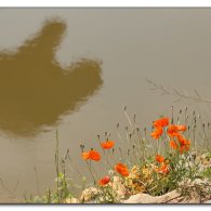 img_5737 img_5737
