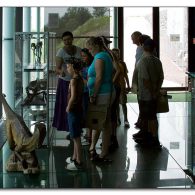 museum_0 museum_0